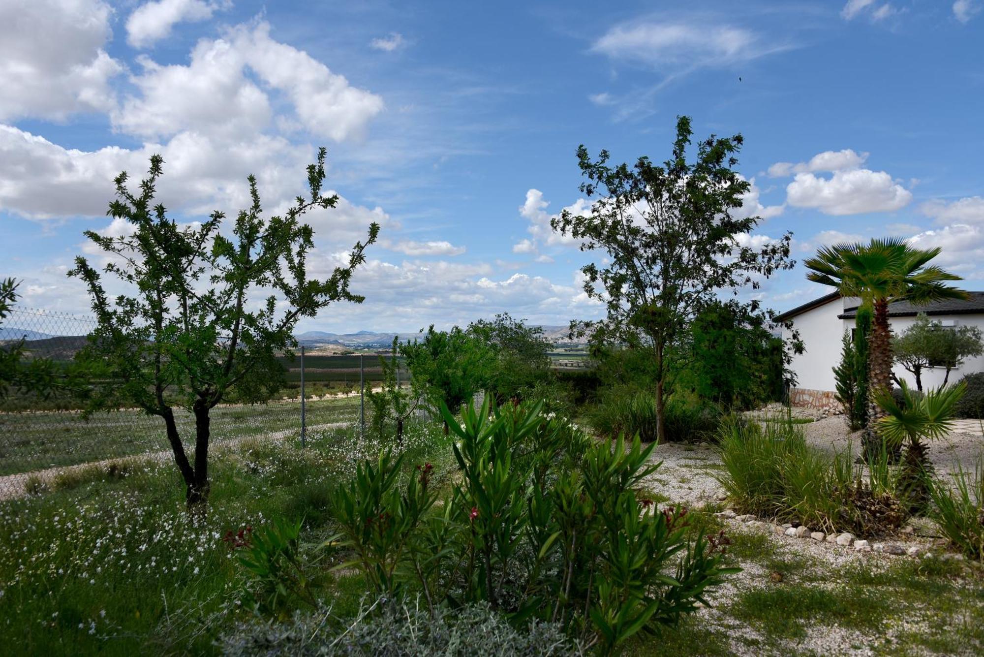 Hacienda Cabreras Apartment Villena Luaran gambar